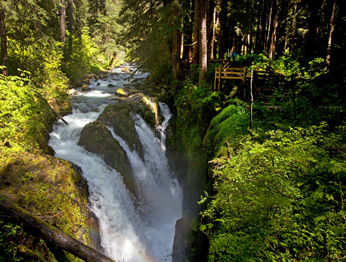 מלון פורט אנג'לס Sol Duc Hot Springs מראה חיצוני תמונה